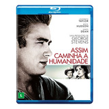 Bluray Assim Caminha A