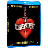 Bluray Coracao Selvagem Nicolas