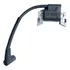 Bobina De Ignição Magnética De Armadura Para Motor Bs 840052