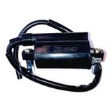 Bobina Ignicao Intruder 125