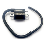 Bobina Ignicao Nx 150