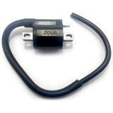 Bobina Ignicao Xlx 250r