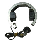 Bobina Interna Mini Moto