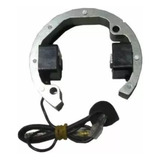 Bobina Interna Mini Moto