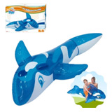 Boia Bote Baleia Azul