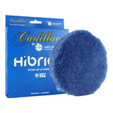 Boina De La Hibrida