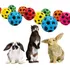 Bola Lunar Brinquedo Divertido Para Coelhos