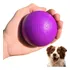 Bola Maciça Bolinha Pra Cachorro Labrador Pastor Alemão 80mm Cor Roxo 80mm
