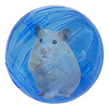 Bola Para Hamster Brinquedo