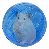 Bola Para Hamster Roedores