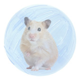 Bola Para Hamster Roedores