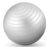 Bola Pelota Fisioterapia Reabilitacao
