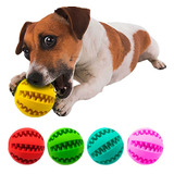 Bola Pra Cachorro Porta