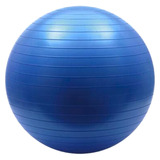 Bola Professional Fisioball Azul