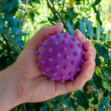 Bola Pula Pula Macico