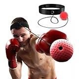 Bola Punching Ball Para
