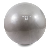 Bola Suiça Bobath Gym Ball Pilates Fisioterapia 65cm C/bomba