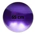 Bola Suiça Pilates Fisioterapia 65cm Yoga Gestante Funcional Cor Roxo