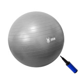 Bola Suiça Pilates Yoga Abdominal Gym Ball 75cm Bomba Grátis Cor Cinza claro