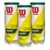 Bola Tênis Wilson Championship Regular Duty Pack C/3 Tubos