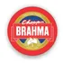 Bolacha Chopp Brahma 2100 Unidades Cor Vermelho