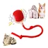 Bolinha Giratória Automática Brinquedos Pet Gato Cachorro