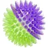 Bolinha Pra Cães Com Apito Dual Color Jambo Pets Raças Grandes Cor Roxa E Verde