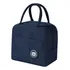 Bolsa Térmica Marmita Lancheira Fitness Academia E Passeios Cor Azul