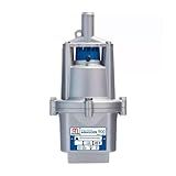 BOMBA ANAUGER 900 5G 220V