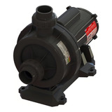 Bomba Centrifuga Para Piscina