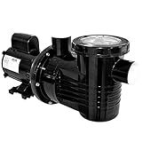 Bomba Dancor Piscina 1 2cv Bivolt   Dancor   PRATIKA PF 17