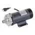 Bomba Magnética Mp15rm Recirculação Cerveja 220v Cabeça Inox