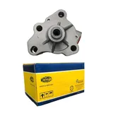 Bomba Oleo Ford Ecosport