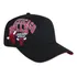 Boné 9forty A-frame Nba Chicago Bulls World Of Logos