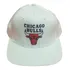 Bone Ad Retro Chicago Bulls