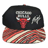 Bone Chicago Bulls 1991