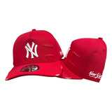 Bone New York Aba