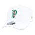 Bone Palmeiras New Era Oficial - Aba Curva 