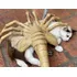 Boneco Alien Facehugger Neca 1/1 Antigo Usado