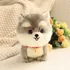 Boneco De Cachorro De Pelúcia, Boneco Corgi Fofo.