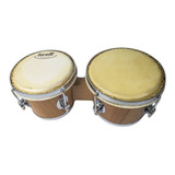 Bongo 7 X 8 Natural   Torelli Tb 011