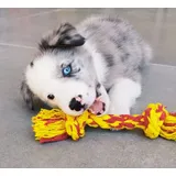 Border Collie Com Pedigree