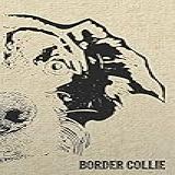 Border Collie Notebook: Stylish Lined Notebook For Scottish Sheepdog Lovers