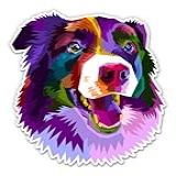 Border Collie Pop Art