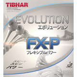 Borracha Thibar Evolution Fxp