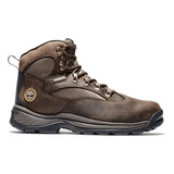 Bota Timberland Chocorua 100