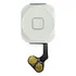 Botão Flex Flat Home Inicio Compativel Celular iPhone 5c