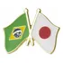 Bótom Pin Broche Pin Bandeira Brasil X Japão