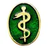 Bóton Broche Pin Medicina Médico Folheado À Ouro Oval 
