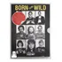 Box 3 Dvds Born To Be Wild Novo Lacrado
